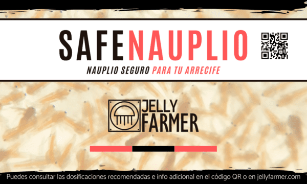 Safe Nauplio
